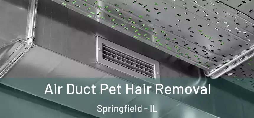  Air Duct Pet Hair Removal Springfield - IL