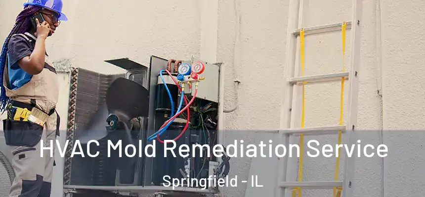  HVAC Mold Remediation Service Springfield - IL