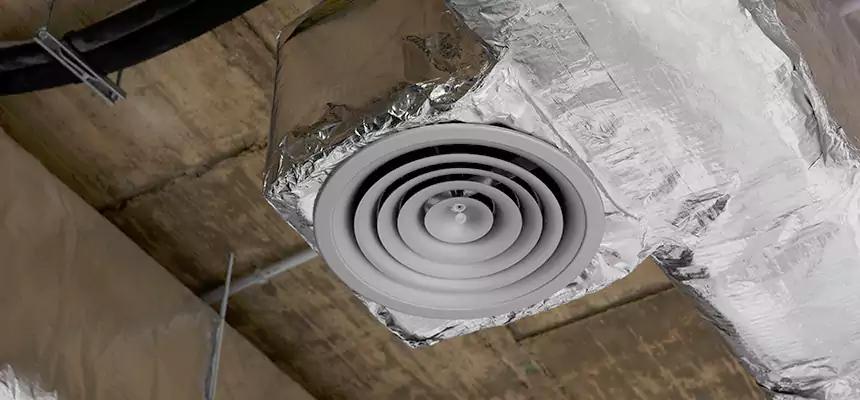 Our Excess Lint Removal from Dryer Ducts Services in Springfield, IL