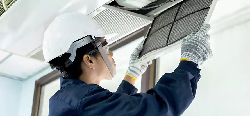 Our Mold & Mildew Removal from Air Ducts Services in Springfield, IL