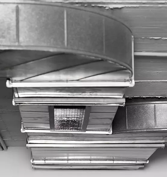 Professional Air Duct Pest Removal in Springfield, IL