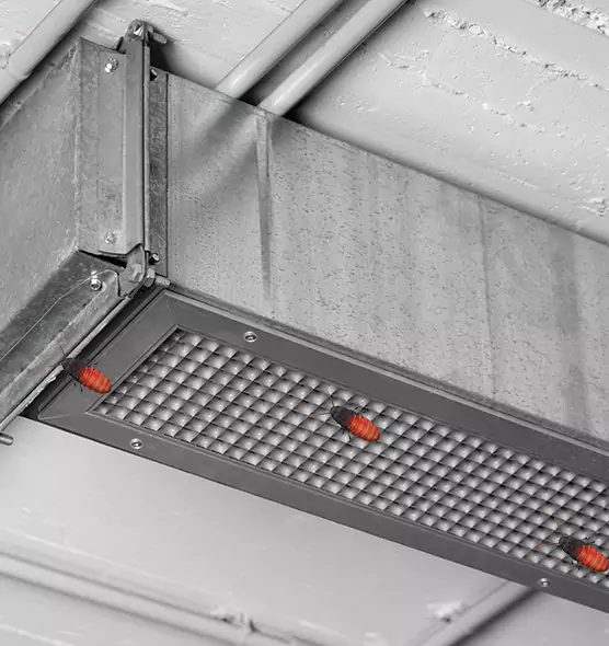 Affordable Insect Removal from Air Ducts in Springfield, IL