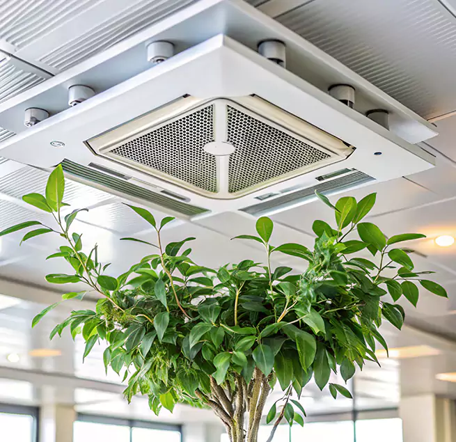 Why Homeowners & Businesses Trust Us in Springfield, IL?