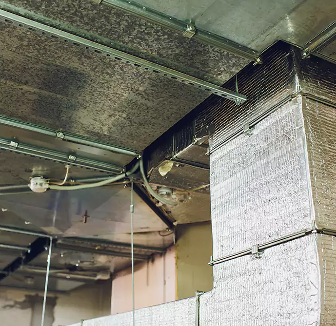 Why Homeowners & Businesses Trust Us in Springfield, IL?